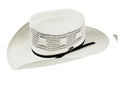 Bailey Desert Breeze: Bangora Straw Hat