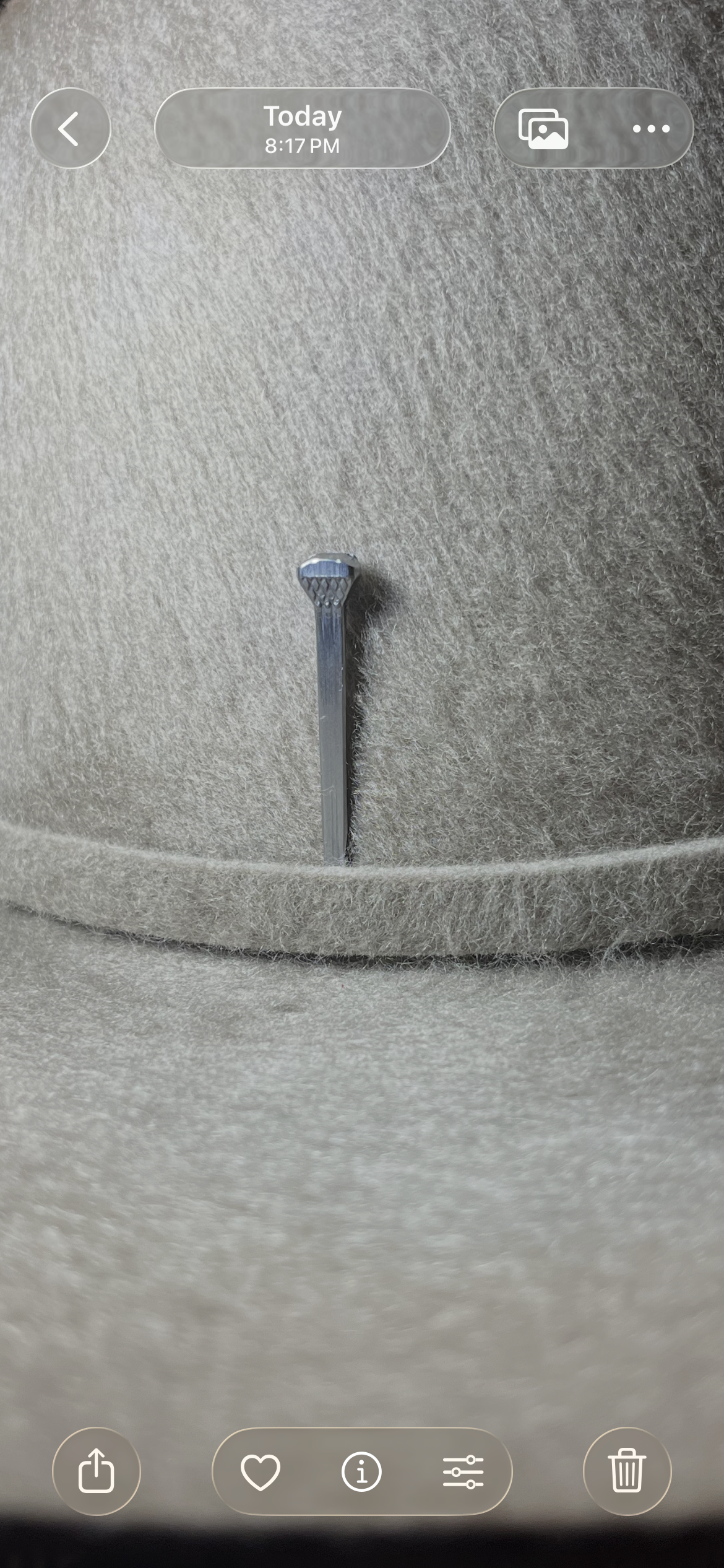 Farrier Nail